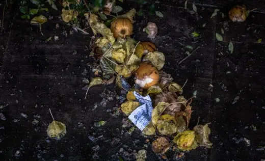 From trash to treasure